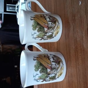 Royal Falcon Weatherby England Thatched Roofs country village cup (2)